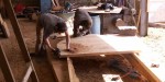 Barnaby and Mark shaping the transom