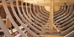 lining out , internal shot